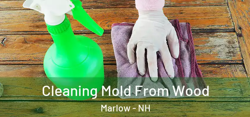  Cleaning Mold From Wood Marlow - NH