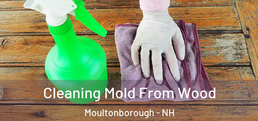 Cleaning Mold From Wood Moultonborough - NH