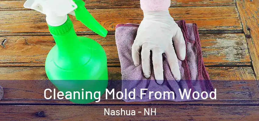  Cleaning Mold From Wood Nashua - NH