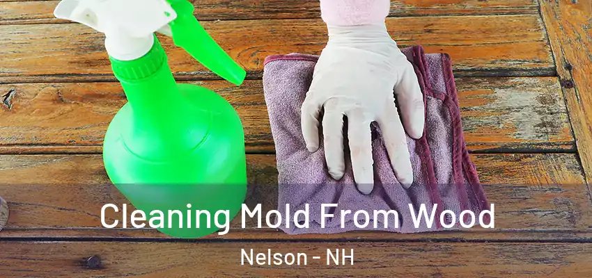  Cleaning Mold From Wood Nelson - NH