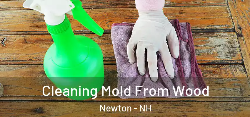  Cleaning Mold From Wood Newton - NH