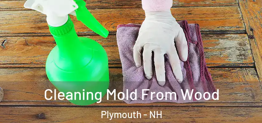 Cleaning Mold From Wood Plymouth - NH