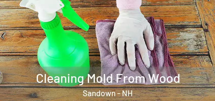  Cleaning Mold From Wood Sandown - NH