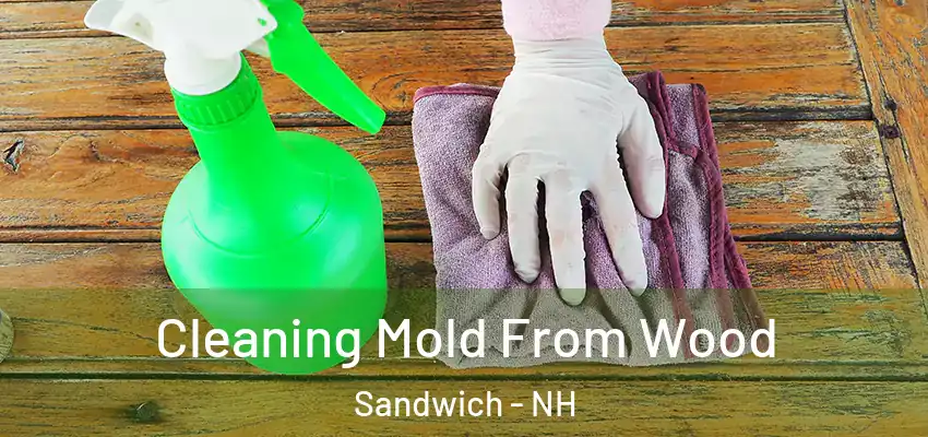 Cleaning Mold From Wood Sandwich - NH