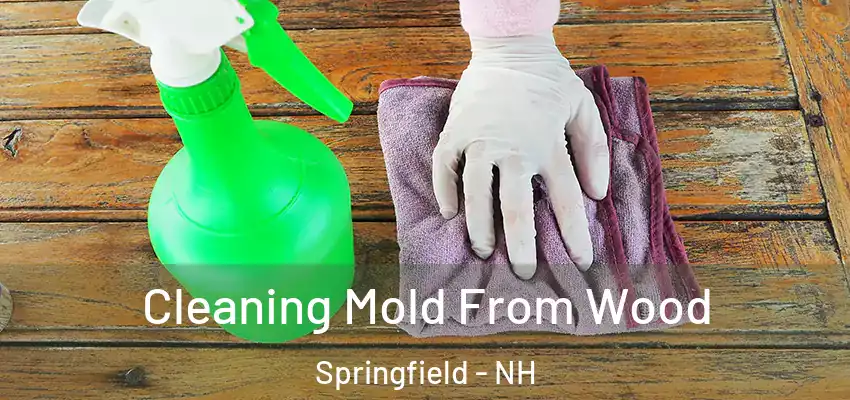  Cleaning Mold From Wood Springfield - NH