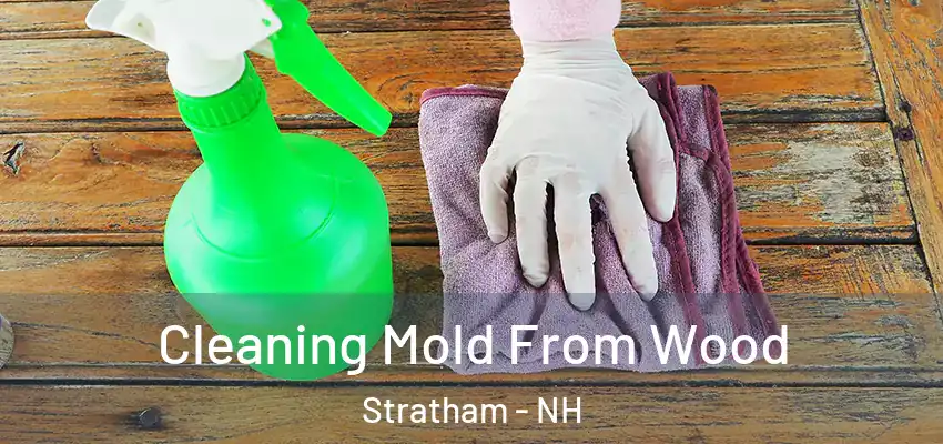 Cleaning Mold From Wood Stratham - NH