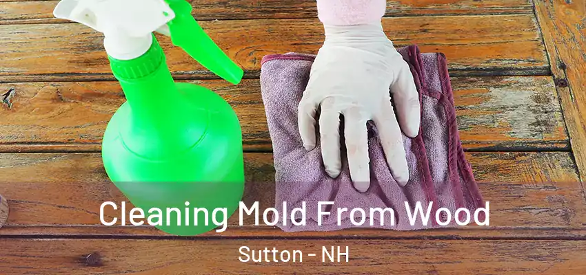  Cleaning Mold From Wood Sutton - NH