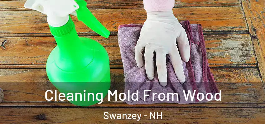 Cleaning Mold From Wood Swanzey - NH