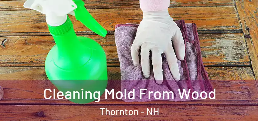  Cleaning Mold From Wood Thornton - NH