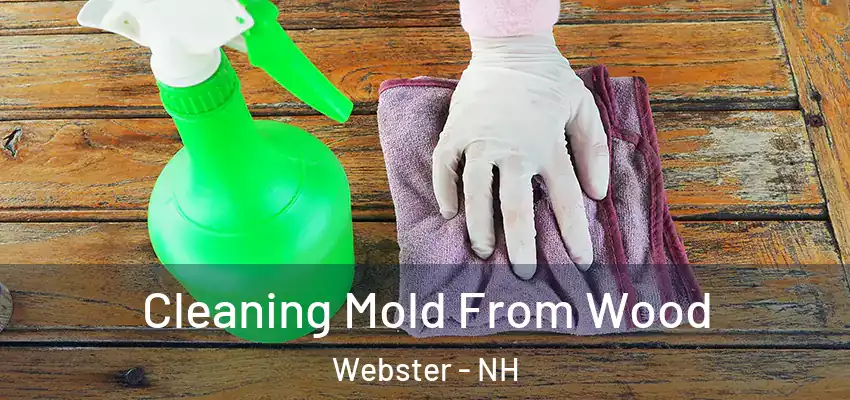  Cleaning Mold From Wood Webster - NH
