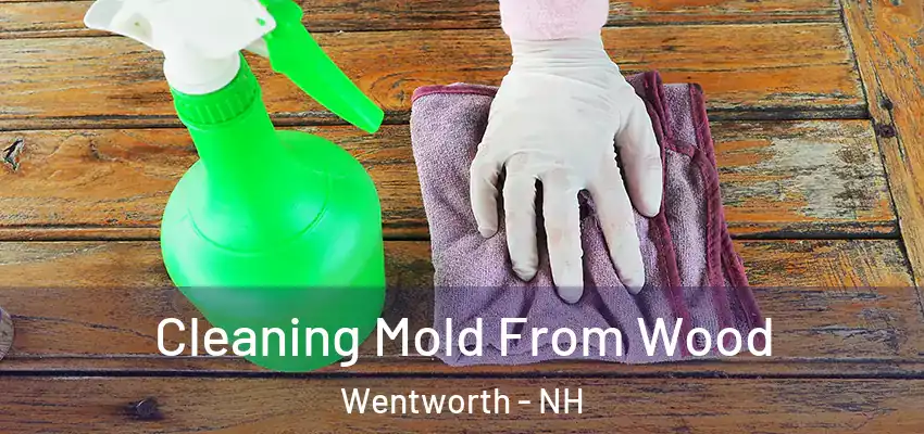 Cleaning Mold From Wood Wentworth - NH