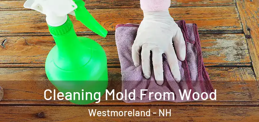  Cleaning Mold From Wood Westmoreland - NH