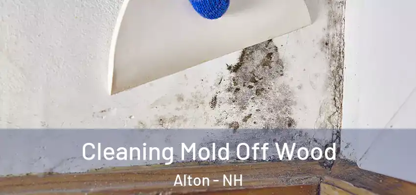  Cleaning Mold Off Wood Alton - NH