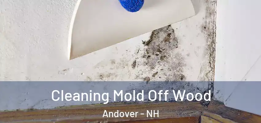 Cleaning Mold Off Wood Andover - NH