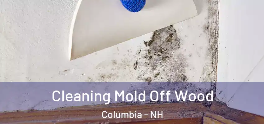 Cleaning Mold Off Wood Columbia - NH