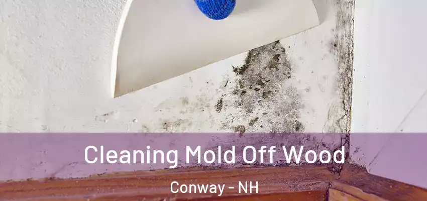  Cleaning Mold Off Wood Conway - NH