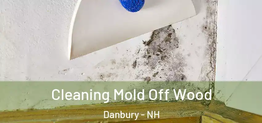 Cleaning Mold Off Wood Danbury - NH