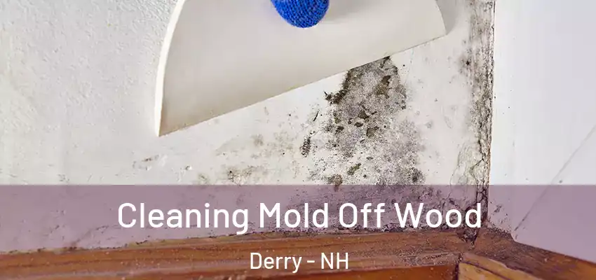  Cleaning Mold Off Wood Derry - NH