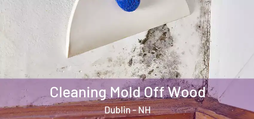  Cleaning Mold Off Wood Dublin - NH