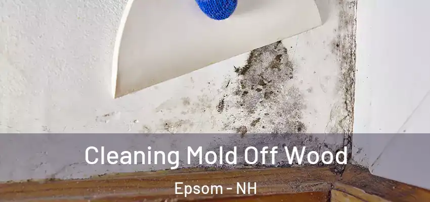  Cleaning Mold Off Wood Epsom - NH