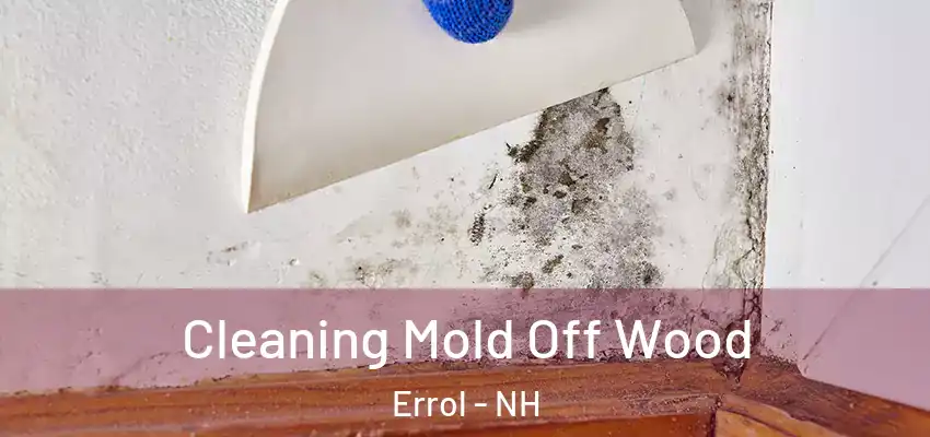 Cleaning Mold Off Wood Errol - NH