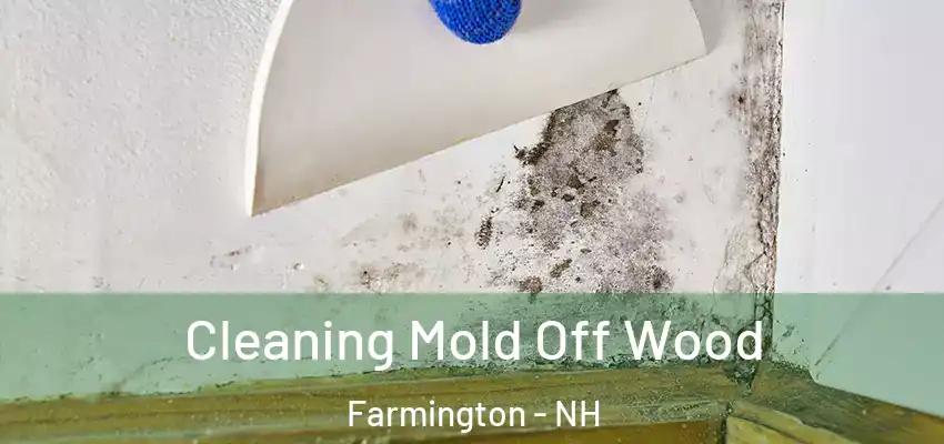  Cleaning Mold Off Wood Farmington - NH