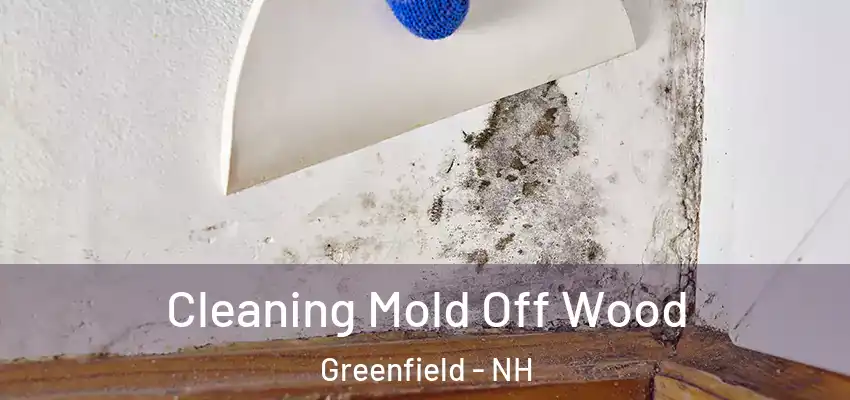  Cleaning Mold Off Wood Greenfield - NH