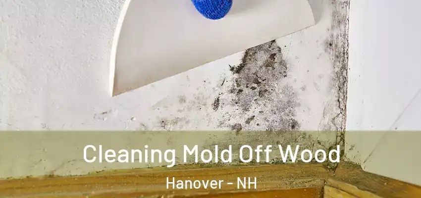 Cleaning Mold Off Wood Hanover - NH