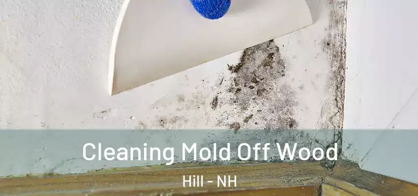  Cleaning Mold Off Wood Hill - NH