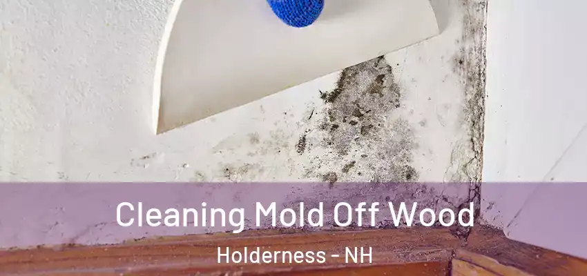 Cleaning Mold Off Wood Holderness - NH
