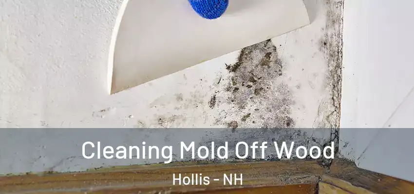  Cleaning Mold Off Wood Hollis - NH