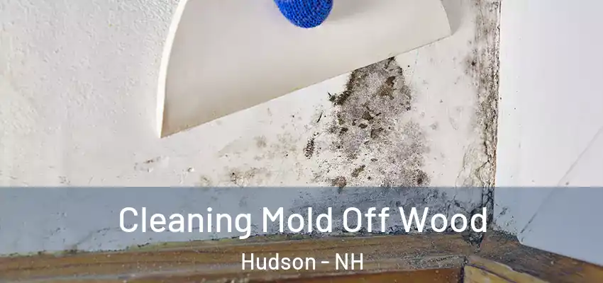 Cleaning Mold Off Wood Hudson - NH