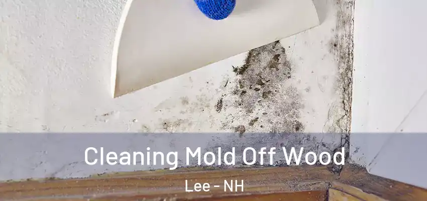  Cleaning Mold Off Wood Lee - NH