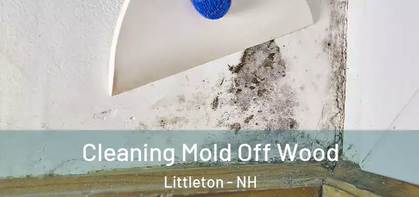 Cleaning Mold Off Wood Littleton - NH