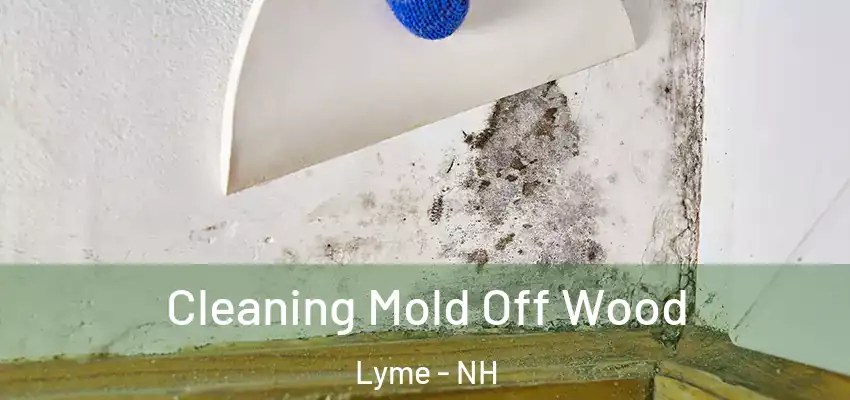 Cleaning Mold Off Wood Lyme - NH