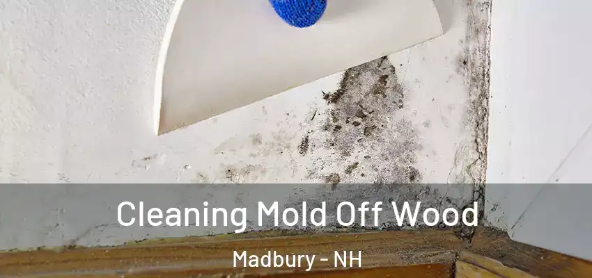  Cleaning Mold Off Wood Madbury - NH