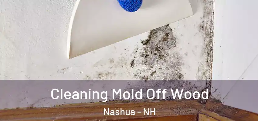  Cleaning Mold Off Wood Nashua - NH