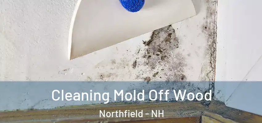  Cleaning Mold Off Wood Northfield - NH