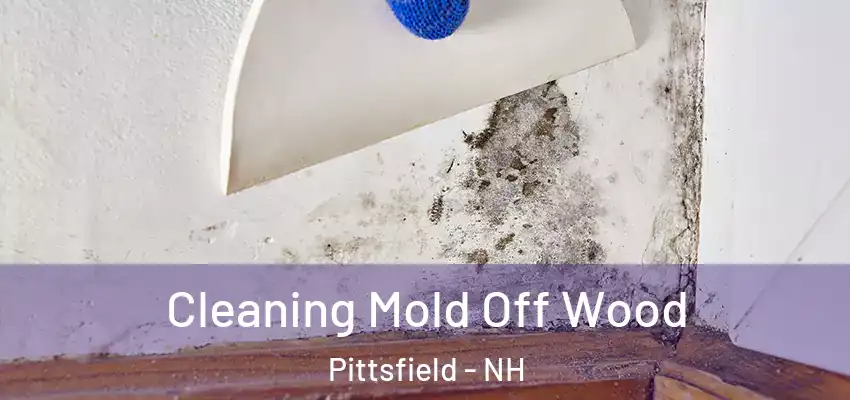  Cleaning Mold Off Wood Pittsfield - NH