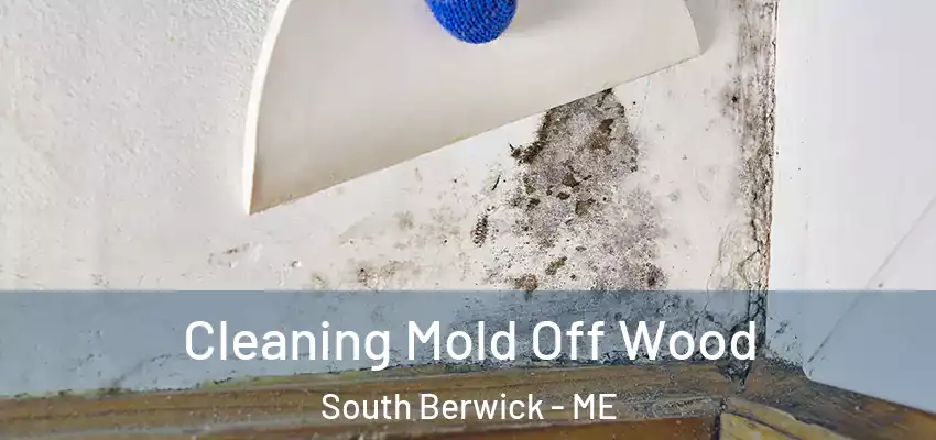  Cleaning Mold Off Wood South Berwick - ME