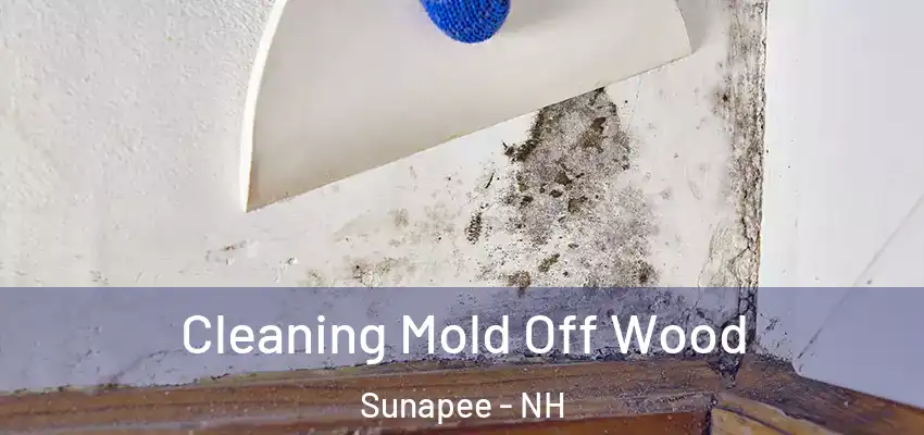  Cleaning Mold Off Wood Sunapee - NH