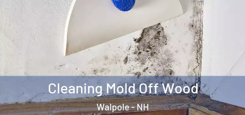  Cleaning Mold Off Wood Walpole - NH