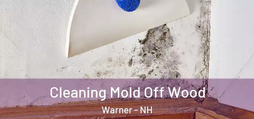 Cleaning Mold Off Wood Warner - NH