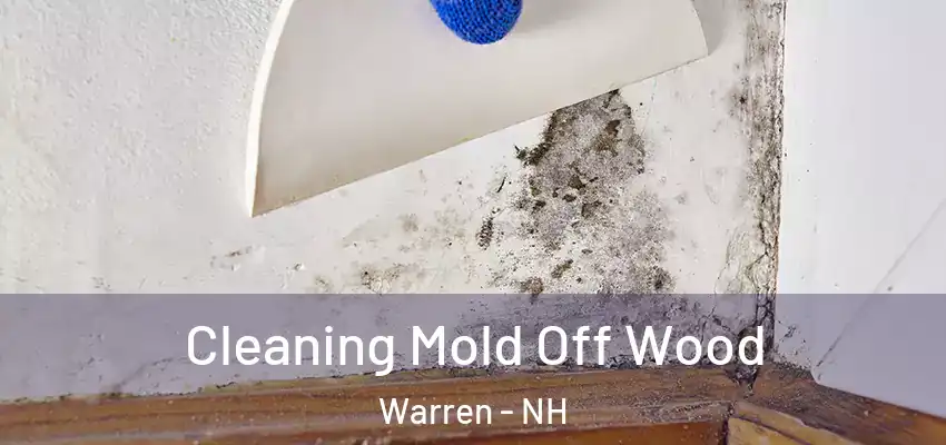 Cleaning Mold Off Wood Warren - NH