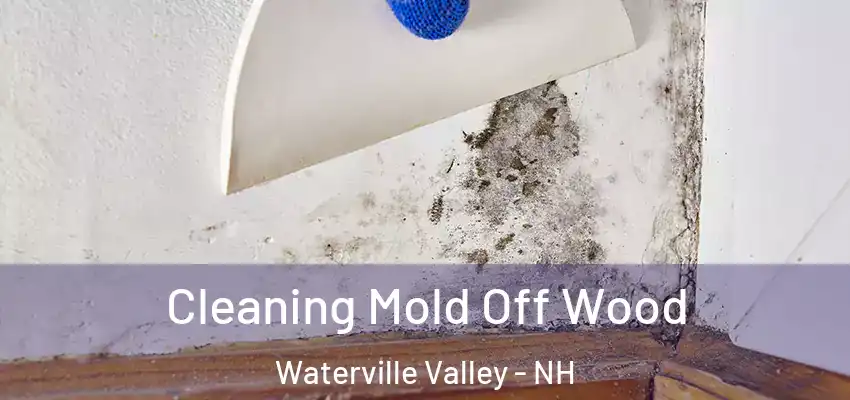 Cleaning Mold Off Wood Waterville Valley - NH