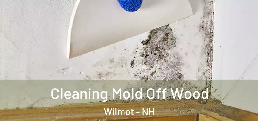 Cleaning Mold Off Wood Wilmot - NH