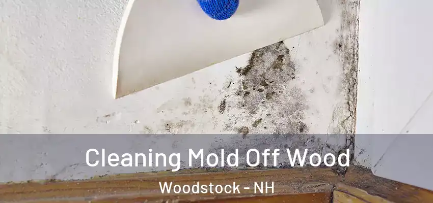 Cleaning Mold Off Wood Woodstock - NH