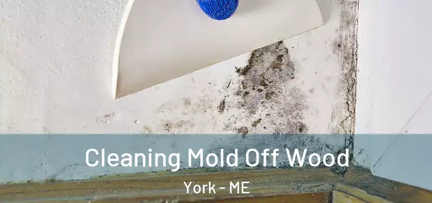  Cleaning Mold Off Wood York - ME