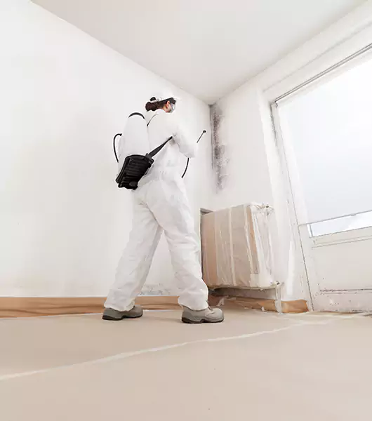 Specialists in All Areas of Mold Remediation and Water Damage Restoration in Albany, NH