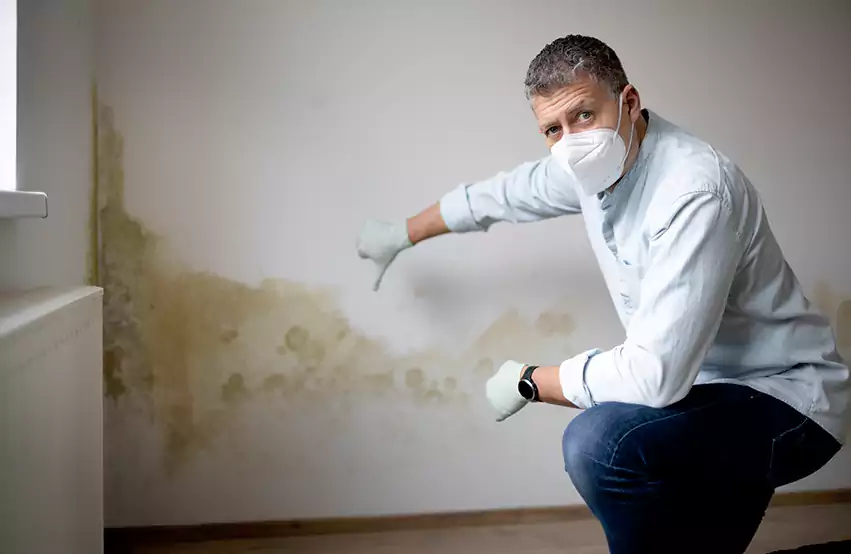 Mold Removal in Albany, NH